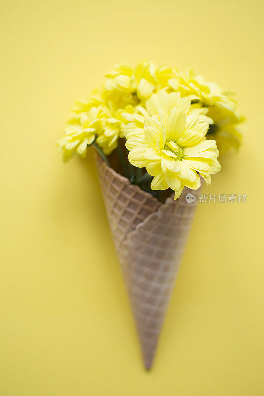 蛋卷冰淇淋和黄花