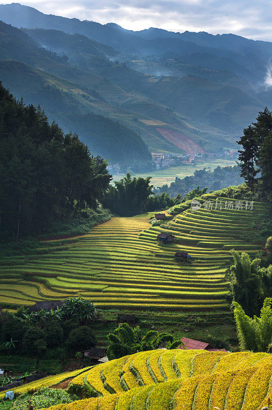 上图是越南西北部盐白省木仓寨地区的梯田