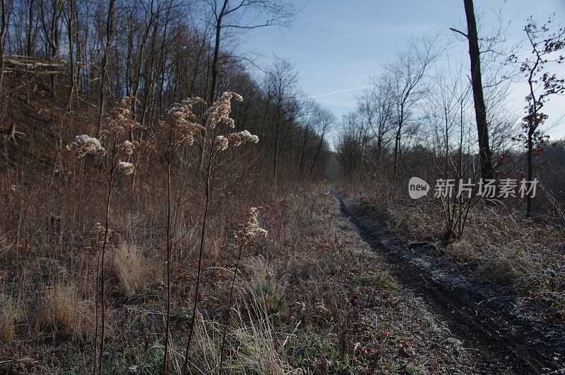 煤矿页岩