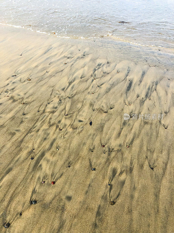 沙子和海洋特写，拉霍亚海滩，加州，美国