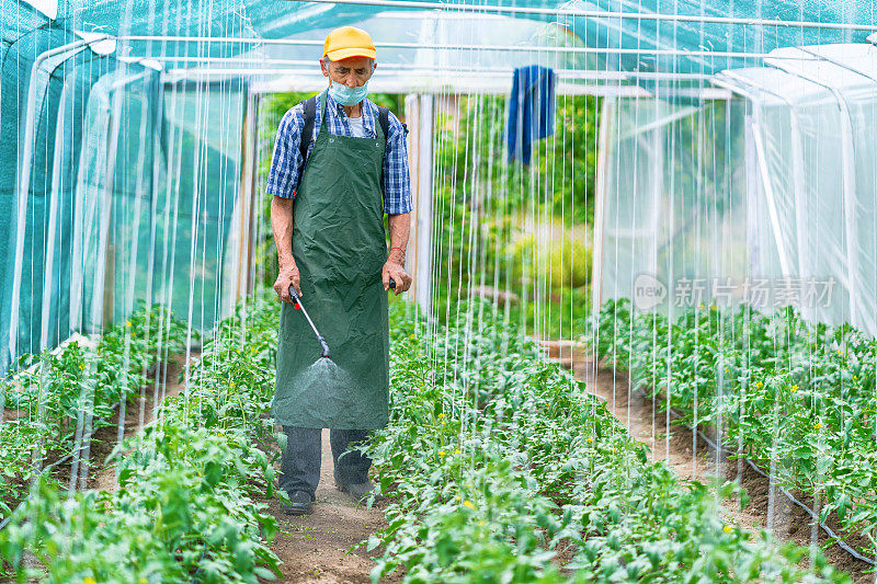 资深农民喷洒植物