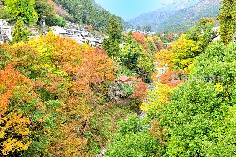 东京西郊奥古摩秋叶