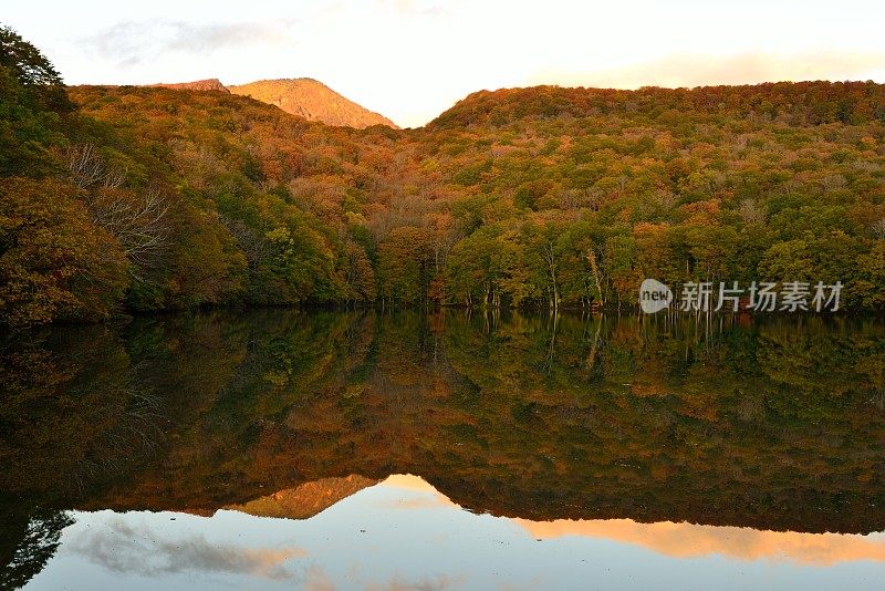 晨光的Tsuta-numa(沼泽)，和田市，日本东北部