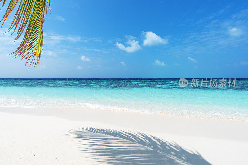热带海滩的背景