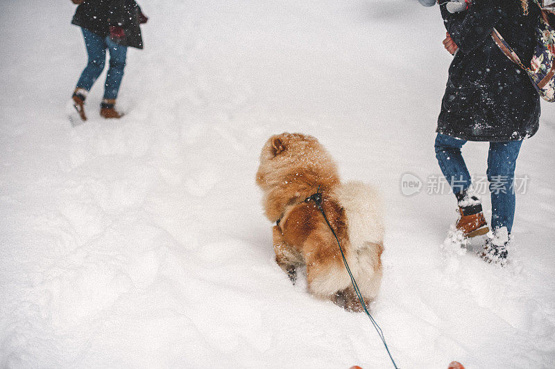 雪中的聚会时间