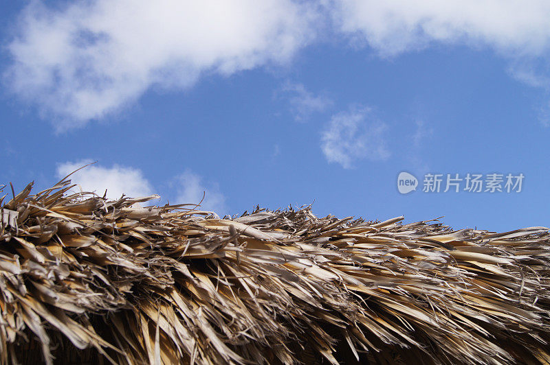 热带气候，茅草屋顶与蓝天背景