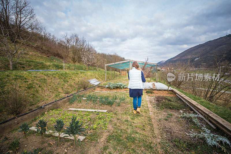 菜园子里的成熟女人