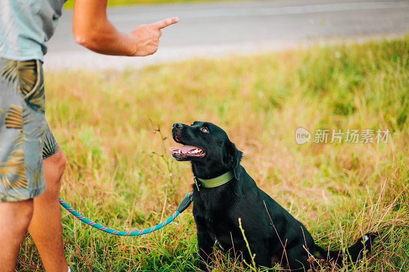 驯狗人