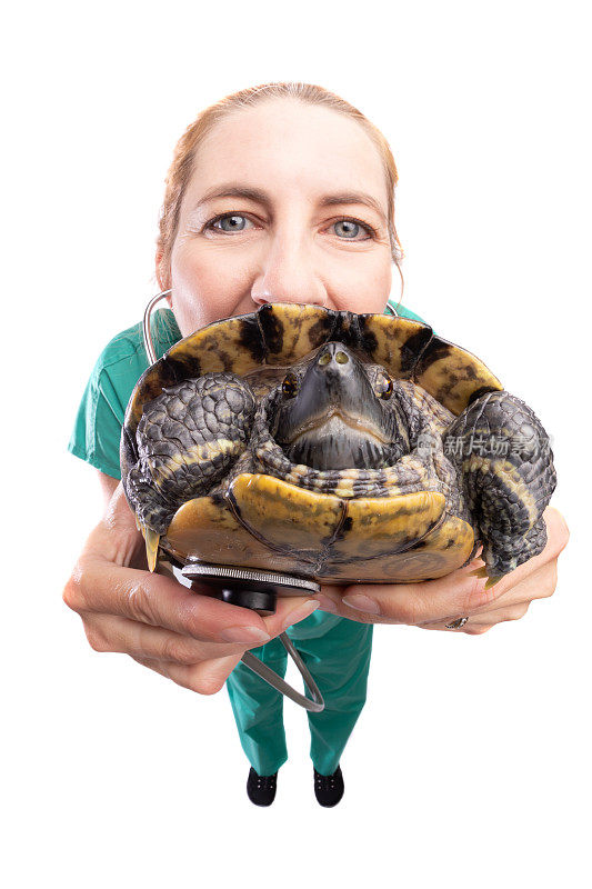 鱼眼兽医抱海龟