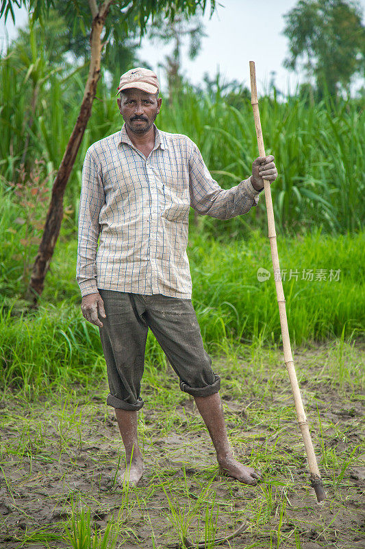 印度农民在犁地