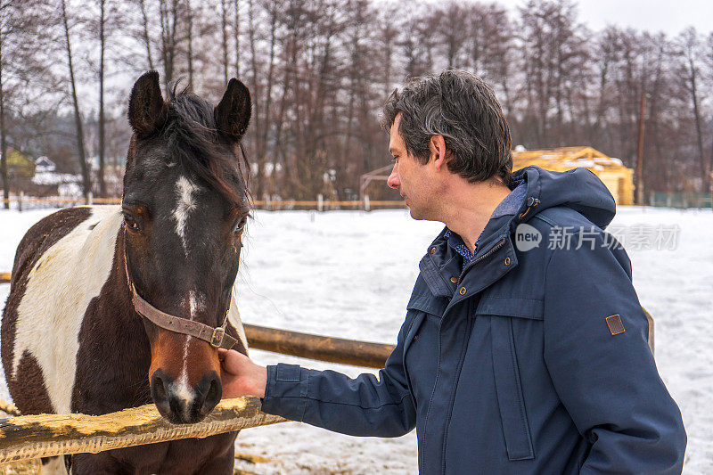 英俊的中年男子在雪天的牧场拍马。冬天周末在农场，去乡下旅行。健康的生活方式，积极的休闲，真实的时刻