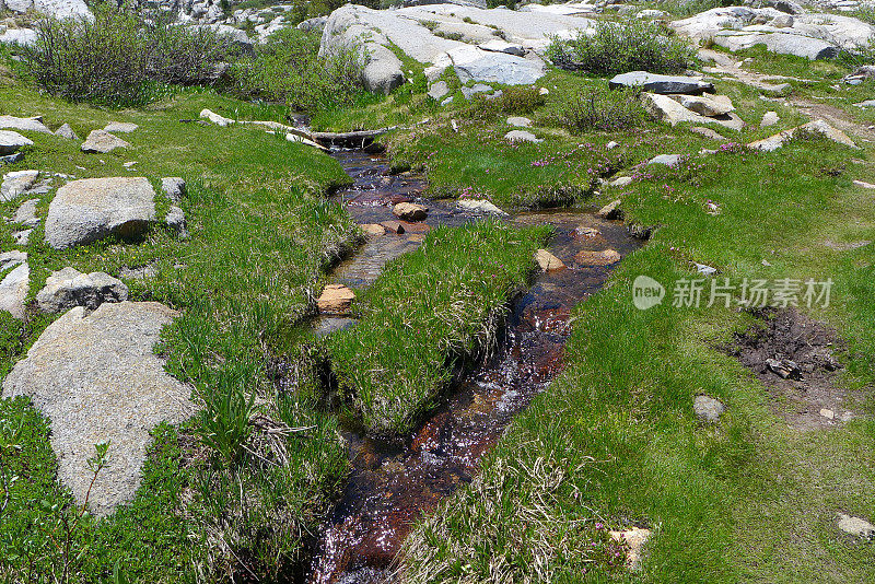 维德特草地，国王峡谷国家公园