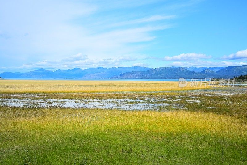 空地区的克卢恩湖湿地