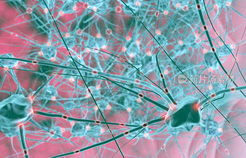 显微镜下的神经网络脑细胞