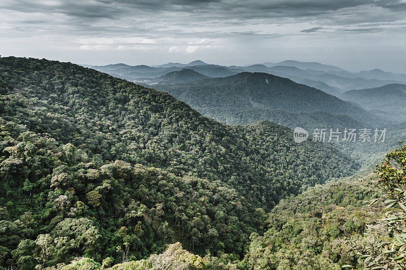 美丽的风景在卡梅伦高地