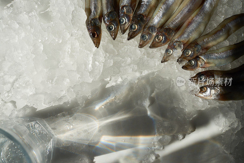 直接俯瞰新鲜鲱鱼与浑浊的眼睛放在一堆冰，阴影从一杯水