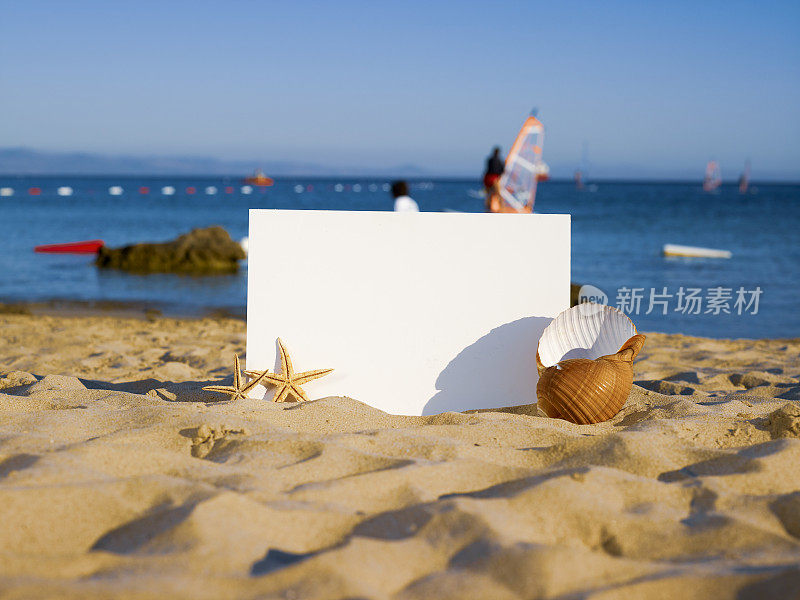 假日海滩概念贝壳，海星和空白白板