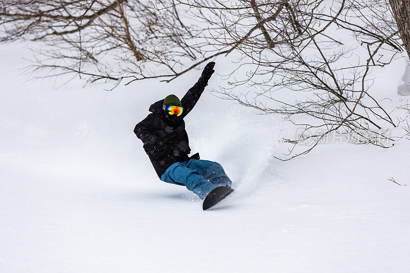 滑雪运动员在日本北部著名的粉雪上滑雪