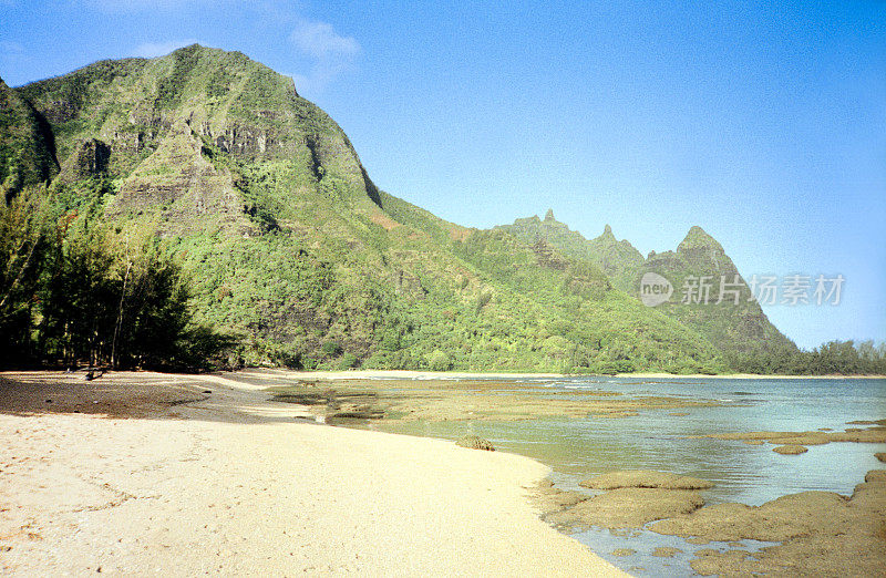 夏威夷海滩海岸线胶片照片