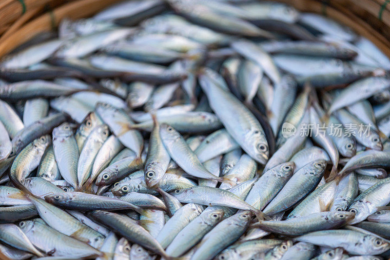 在越南广南省中部海岸，新鲜的鱼是渔民的海洋资源