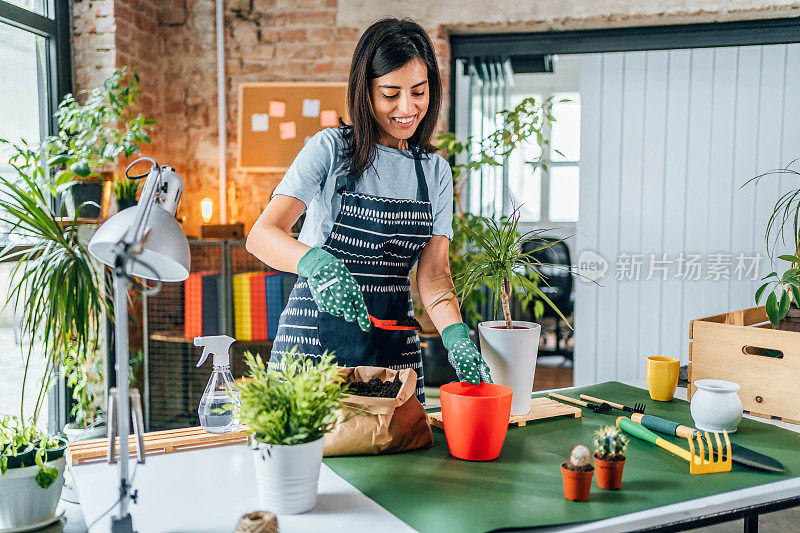 一名妇女正在给室内植物重新盆栽