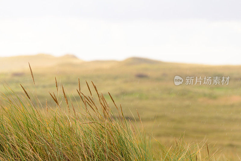 荷兰瓦登海地区特塞尔岛海滩上的斯拉夫特山谷