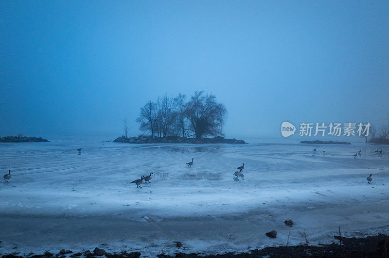 雾蒙蒙的冬夜中的底特律河