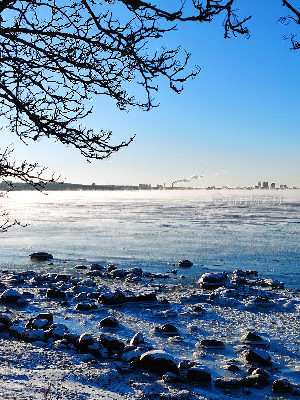 晴朗的冬日。波罗的海被冰雪覆盖，塔林在地平线上。