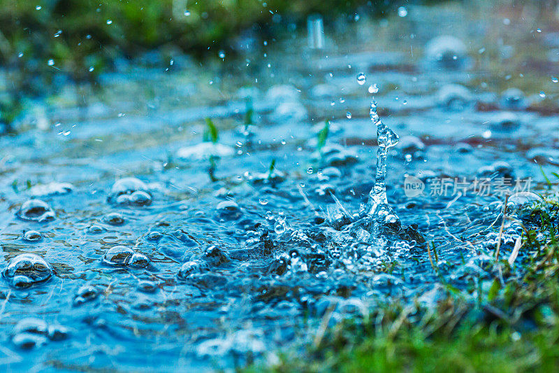 场上暴雨。农场。水坑里的雨滴。