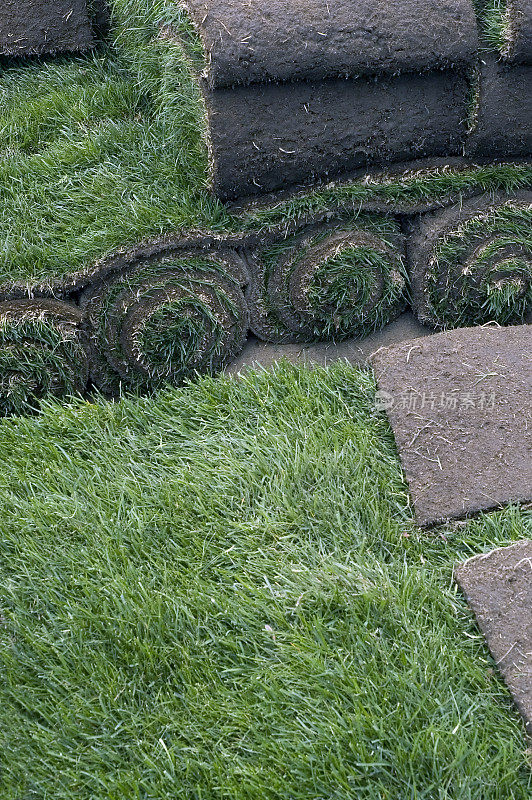 草皮卷为一个瞬间绿色草地草坪