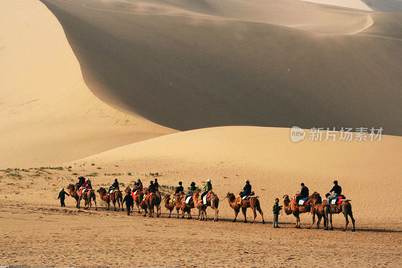 在戈壁沙漠骑骆驼