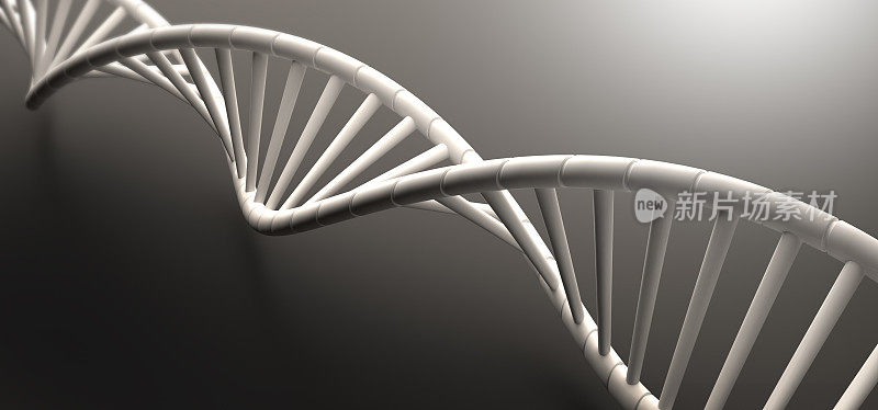 人类DNA串的3D渲染