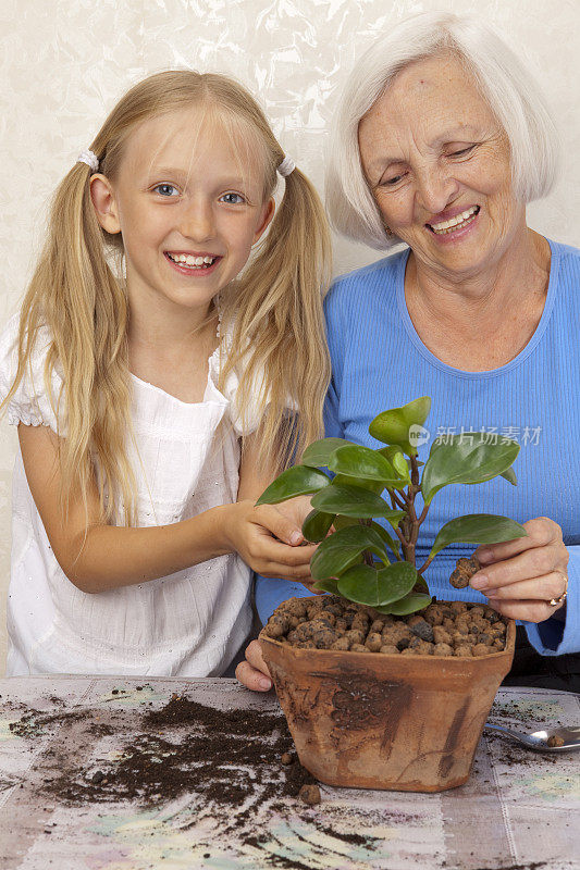 快乐的奶奶和孙女在花盆里种花。