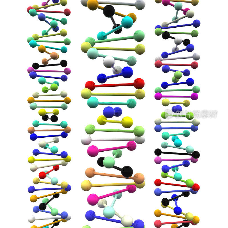 螺旋的DNA