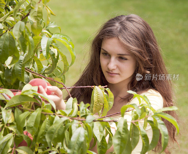 摘水果的年轻女子