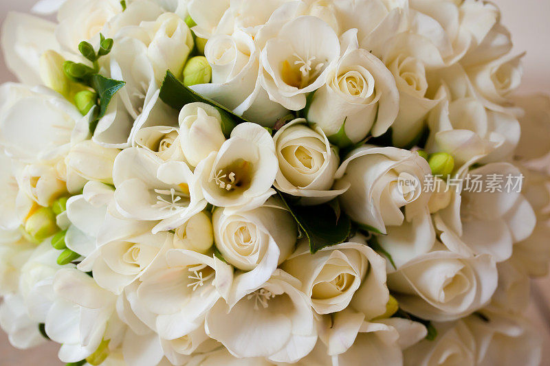白玫瑰新娘花婚礼花束