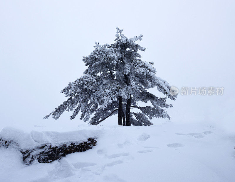 受中国黄山极地涡旋影响