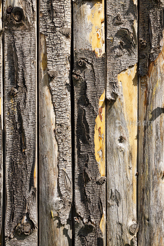 木纹背景风化的乡村松木墙