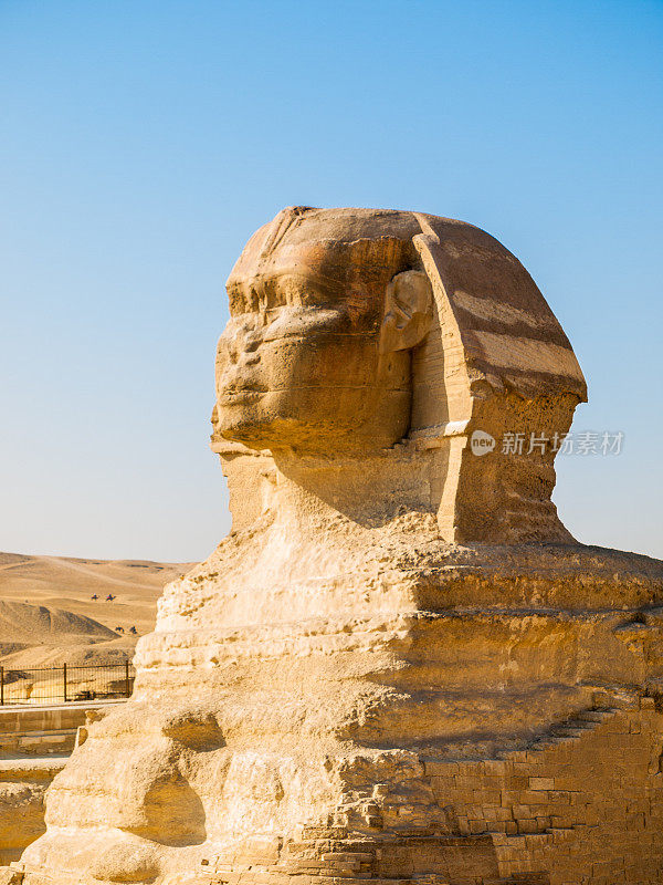 埃及开罗的狮身人面像