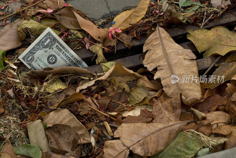 一美元纸币和秋叶一起放在街上的排水沟里