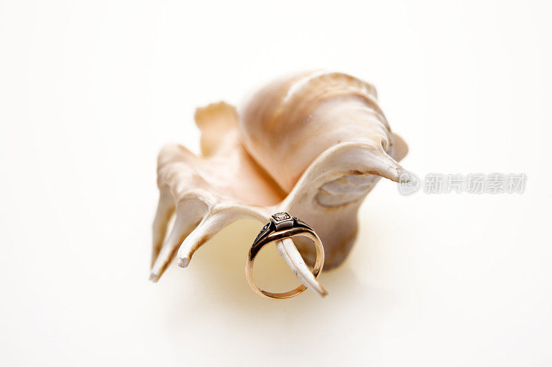 外壳上的订婚戒指