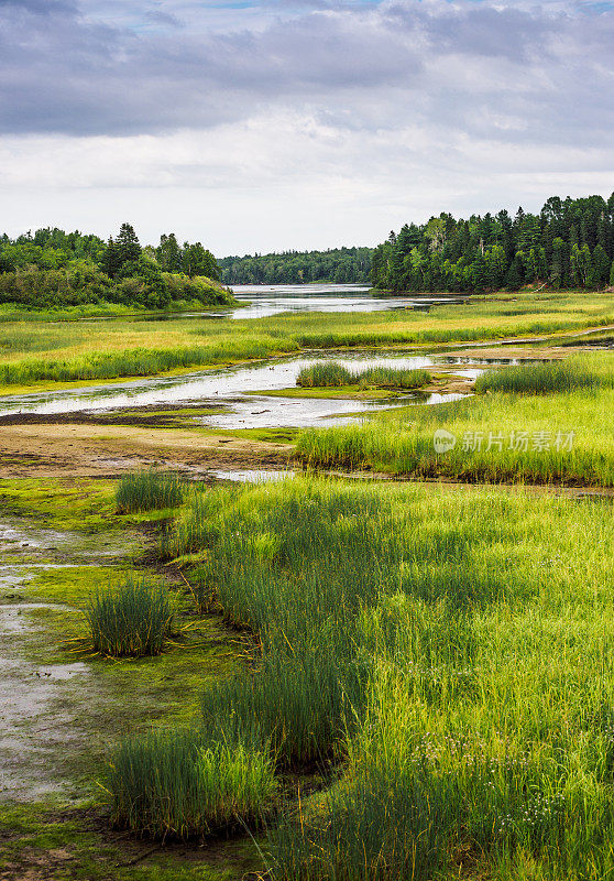 Kouchibouguac国家公园湿地