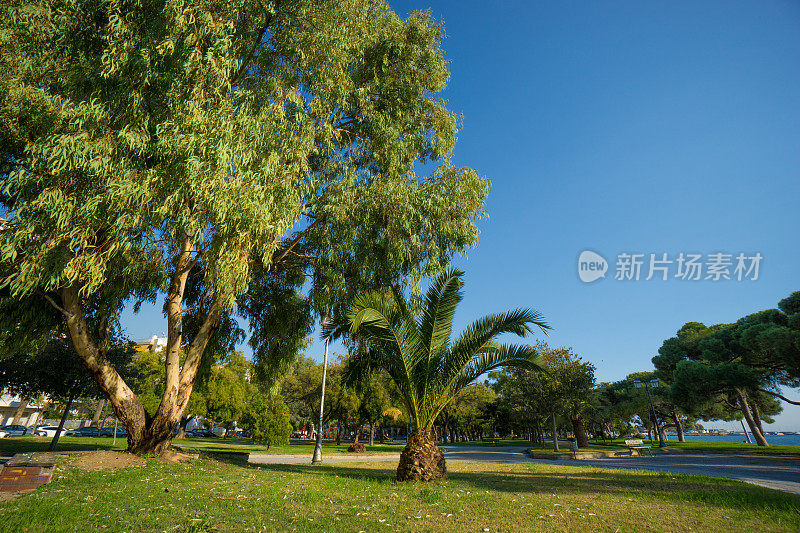 美丽的希腊城市沃罗斯