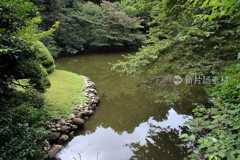 日本:东京的代代木公园