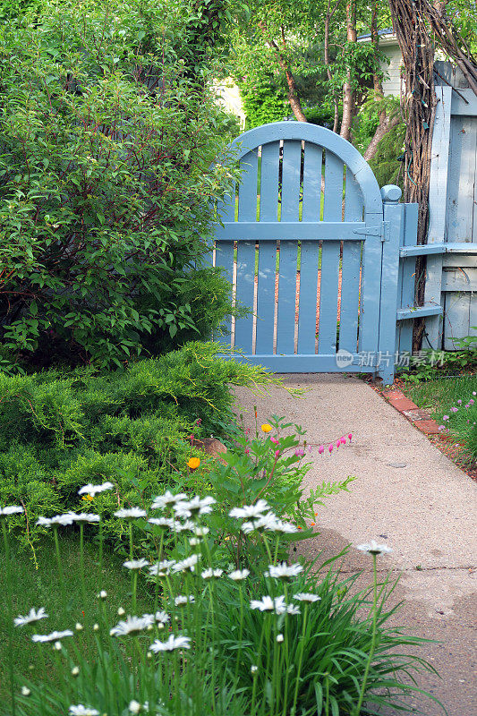 拱形的蓝色花园大门与人行道和植物生长