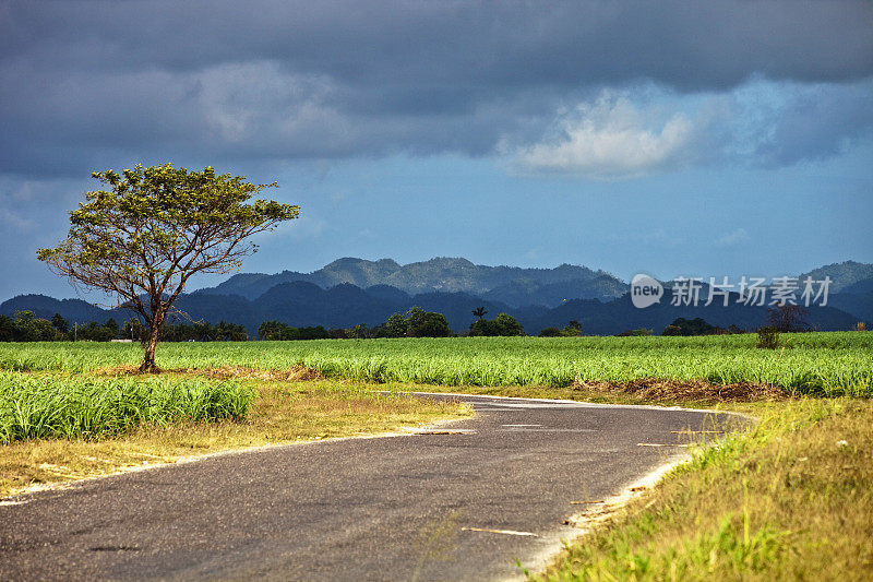 加勒比海景观