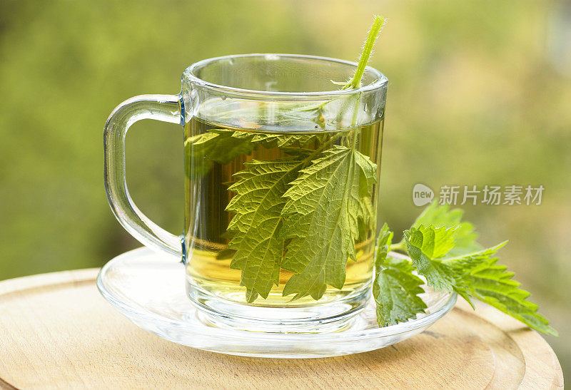 荨麻茶