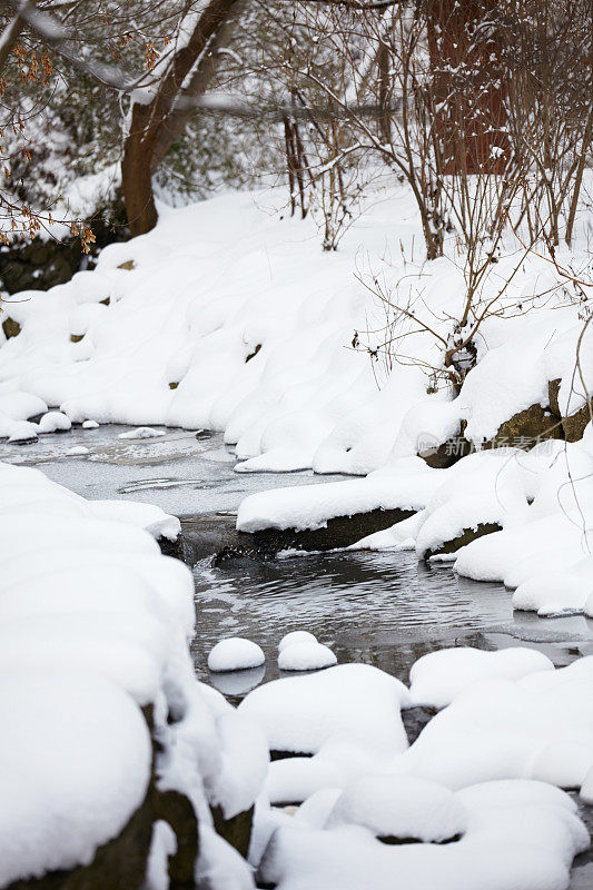 冬雪覆盖的池塘景观