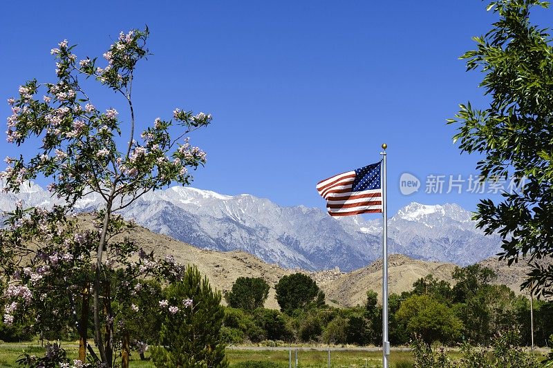 美国国旗和内华达山脉