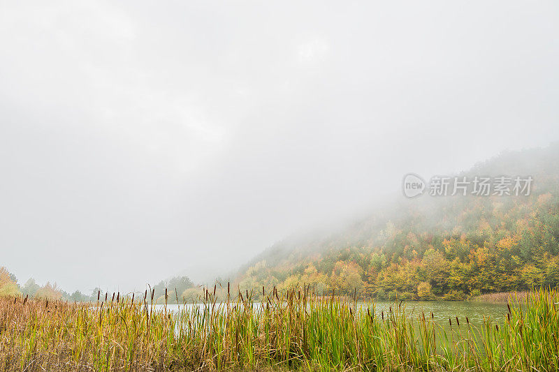 有雾的秋景